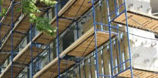 Аренда лесов