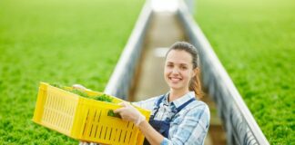 Покупка в Екатеринбурге оптовым и розничным договором пластиковых ящиков от фирмы «Партнер-тара»