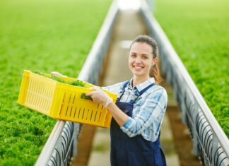 Покупка в Екатеринбурге оптовым и розничным договором пластиковых ящиков от фирмы «Партнер-тара»
