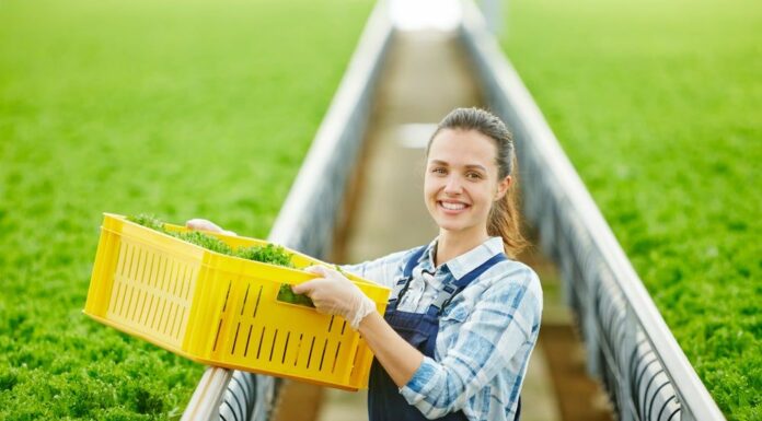 Покупка в Екатеринбурге оптовым и розничным договором пластиковых ящиков от фирмы «Партнер-тара»