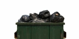 Советы по выбору исполнителя для вывоза мусора