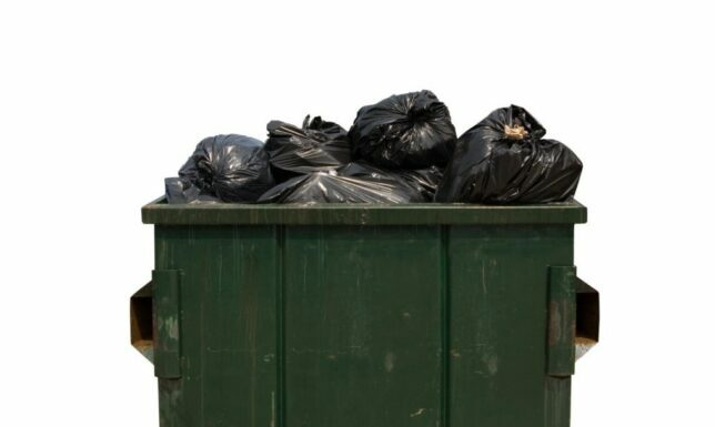 Советы по выбору исполнителя для вывоза мусора