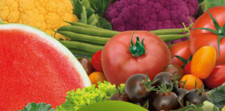 Цены на семена овощных культур Syngenta®