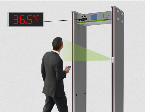 Какой металлоискатель выбрать новичку?