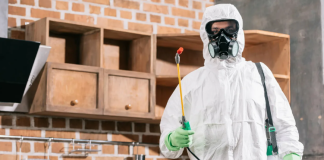 Кого вызвать в Ростове-на-Дону, если дома поселились вредители