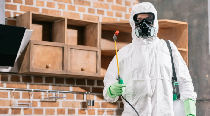 Кого вызвать в Ростове-на-Дону, если дома поселились вредители