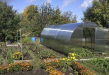 На что обратить внимание при строительстве теплицы