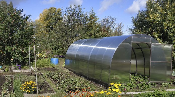 На что обратить внимание при строительстве теплицы