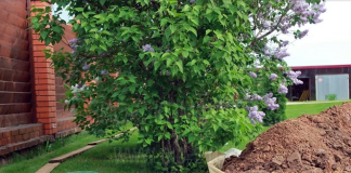 Какой выбрать септик для дачи: советы