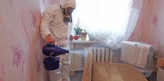 Уничтожение клопов туманом: убираем ненужных гостей