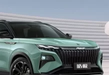 Почему автомобили Dongfeng предпочитают покупать у белого дилера: подробности