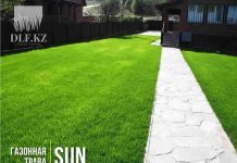 Изумрудный газон: как выбрать качественный семенной материал