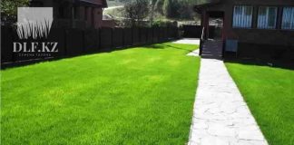 Изумрудный газон: как выбрать качественный семенной материал