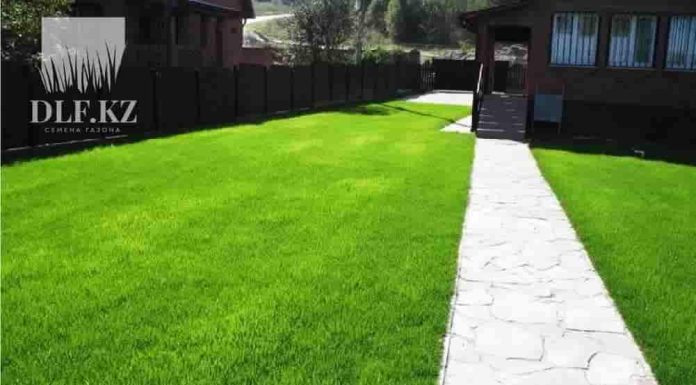 Изумрудный газон: как выбрать качественный семенной материал