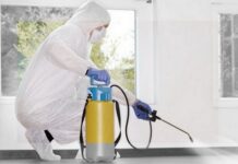 Дезинсекция помещений: эффективный способ борьбы с насекомыми