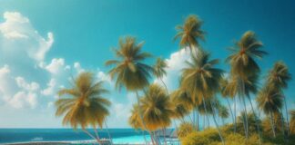 Туры на Мальдивы: описание и особенности