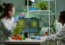 Наглядные пособия по биологии: от муляжей до анатомических моделей