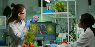 Наглядные пособия по биологии: от муляжей до анатомических моделей