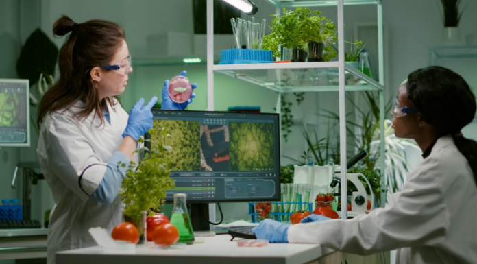 Наглядные пособия по биологии: от муляжей до анатомических моделей