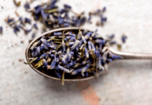 Семена лаванды: декоративное и лекарственное растение в вашем саду