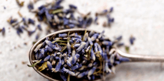 Семена лаванды: декоративное и лекарственное растение в вашем саду