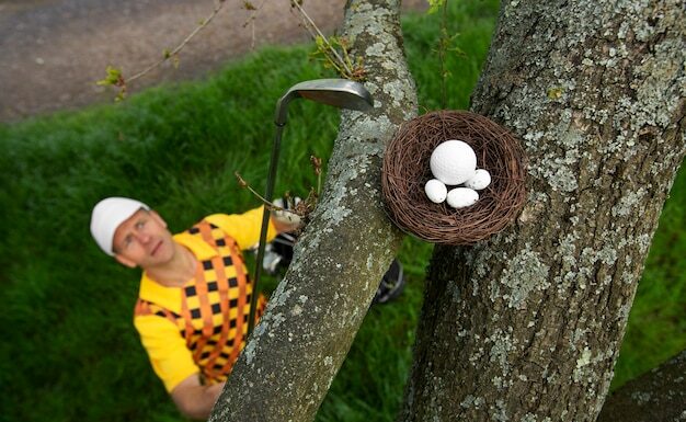 Как избавиться от осиного гнезда под кровлей: народные средства