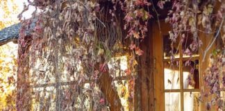 Ураганный рёв кровли: когда бурение и гудрон бессильны